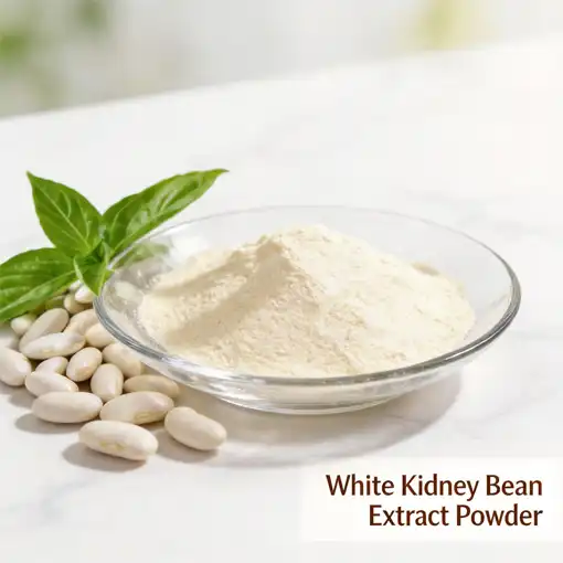 Can White Kidney Bean Extract Powder Support Healthy Weight Loss?